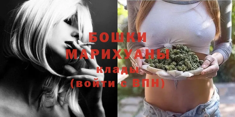 Бошки марихуана White Widow  мега как зайти  Николаевск 